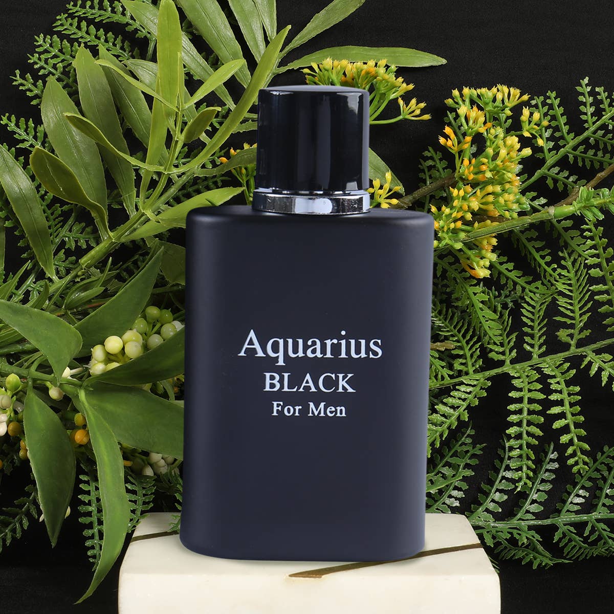 Aquarius Black Natural Spray Cologne For Men