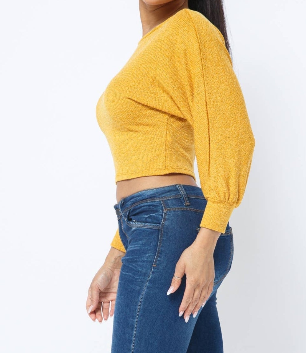 Poly Haccy Dolman Long Sleeve Crop Top