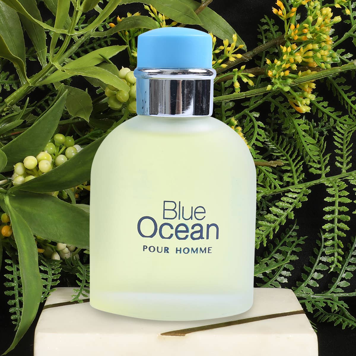 Blue Ocean Pour Homme Spray Cologne For Men